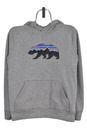 Vintage Patagonia hoodie (S), grey graphic sweatshirt