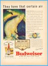 Cerveza Budweiser 1937 anuncio de colección oso polar auroras boreales Anheuser Busch St Louis MO