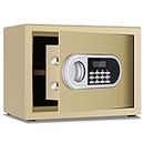 Caja fuerte de seguridad electrónica digital, caja fuerte para el hogar con llaves, cerradura digital para joyas, dinero, objetos de valor en efectivo (Gray)