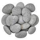 Foodie Puppies Natural Decorative River Pebble Mix Size Grey Stones - (Grey Flint, Pack of 10) for Aquarium Tank, Garden, Landscaping, Home Decoration, Rock Art, and Plants, Size - (2inch - 4.5inch)