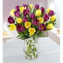 1-800-Flowers Seasonal Gift Delivery Spring Passion Tulip Bouquet 30 Stems W/ Clear Vase | Happiness Delivered To Their Door