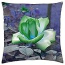MY GREEN ROSE - Throw Pillow Cover Case (18