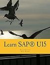 Learn SAP® UI5: The new enterprise Javascript framework with examples