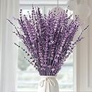 Glicrili Dried Purple Lavender Flowers Bundle-Dried Preserved Lavender Bouquet 15-17" for Shower Weeding Home Vase Decor, Crafts, Aromatherapy, Fragrance, Fresh Silk Dry Live Plants, 50g(1.76oz)