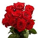 50 Red Roses- Fresh Cut Flowers- Beautiful Gift