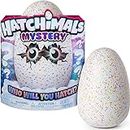 HATCHIMALS Mystery Who Will You Hatch Egg (Styles Vary)
