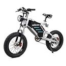 RZOGUWEX Electric Bicycle，20 Inch Off-Road EBIKE for Adults with 48V 25AH Detachable Lithium Ion Battery, 7 Speed Snow Bike with Dual Shock Absorbers and Brush-less Motor