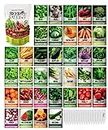Gardeners Basics, Survival Vegetable Seeds Garden Kit Over 16,000 Seeds Non-GMO and Heirloom, Great for Emergency Bugout Survival Gear 35 Varieties Seeds for Planting Vegetables 35 Plant Markers