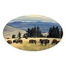 CafePress National Parks Bison Herd Oval Bumper Sticker, Euro Oval Car Decal