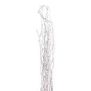 GreenFloralCrafts Birch Branches (Pack of 12 Stems), 3-4', Snowy White