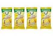 Greenshield Anti Bacterial Wipes 50's Pack of 4