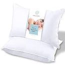 White Classic Bed Pillows for Sleeping 2 Pack, Pillow Standard Size Side Sleeper Set, Down Alternative Luxury Hotel Soft Pillow 28x20 Inches