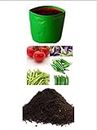 Ari Nursery vegetable Garden/kitchen garden starter kit for terrace and home garden - organic - DIY Easy Grow it Yourself Vegetable Gardening Kit
