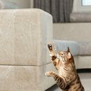 Reliable Cat Furniture Protector Cover Transparent and Easy to Install