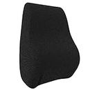 Backfit ® - Backrest for Chair/Car/Dinning Chair, Sofa etc - Gold Series- Ideal for Chair Sofa & car Chair Back Support -Full Size (Black Full Mesh)