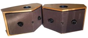Beautiful Bose 901 Series VI Set of 2 Speakers- Tested Great Sound !!