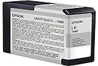 EPSON T5807 Ink Photo Light Black Standard Capacity 80 ml Pack of 1