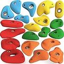 RIDDHI Set of 30 Climbing Holds Set, Solid Resin Non-Plastic Rock Climbing for Kids & Adults with Installation Hardware Kit (Multicolor)