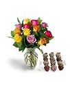 KaBloom PRIME NEXT DAY DELIVERY - Mother’s Day Collection - 12 Assorted Roses with Celebration Chocolate Dipped Berries with Vase.Gift for Birthday, Easter, Valentine, Mother’s Day Fresh Flowers