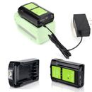 Replacement for Greenworks 40V Battery Fast Charger w/LED Light+USB+Type-C Port