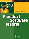 Practical Software Testing: A Process-Oriented Approach (Springer Professional Computing)