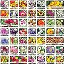 ONLY FOR ORGANIC 45 Variety Of Flower Seeds With Instruction Manual