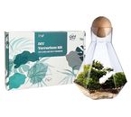 DIY Closed Terrarium Kit with Live Moss and Hexagon Glass Container