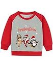 DDSOL Toddler Boy Christmas Sweatshirt Raglan Long Sleeve Santa Elk Dinosaur Holiday Shirt Tops for Kids 2-7T, Singing Dancing Christmas, 5 Years
