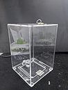 Transparent Acrylic Donation Box Box, Dan Petra, Drop Box, Ballot Box with Lock Facility (Medium 5x5x7)