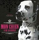 MON CHIEN A DE LA GUEULE: Vêtements, accessoires & recettes pour dog models
