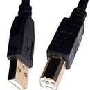 USB Cable for Pioneer CDJ-2000 DJ CD Multi-Player, DJM-2000, DDJ-S1, DDJ.-T1Pro, DJ Serato Controller Traktor Mixer. 6 Ft. Long (From Magik Wagon)