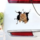 3D Cat Sticker Vinyl Window Decal Accessories For Car Truck Exterior Decoration~