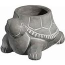 Classic Home and Garden 9/3452/1 Cement Buddies Turtle Planter, Large Natural