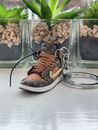 Llavero Nike Air Jordan Louis Vuitton 3D para zapatos