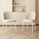 Indoor Dining Chairs Set of 2, Modern Kitchen Dining Room Chairs with Metal Leg