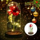 Rose Dome Lights Beauty and The Beast Rose in a Glass With LEDUSB Decor Gift
