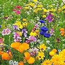 BEE Flower Mix 80+ Seeds, Beneficial Insect Mix attracts Bees Friendly Bugs