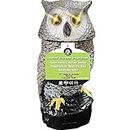 Ugold Solar Powered Garden Owl with Detection, Flashing Eyes, Rotating Head, Realistic Hoots and Silent Mode, Garden Sculpture, Plastic Owl Decoration for Home, Garden, Patio and Lawn