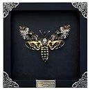 Real Death Head Moth Acherontia Black Frame Skull Butterfly Handmade Shadow Box Insect Oddity Curiosities Unique Taxidermy Collectables Tabletop Wall Art Home Decor Living Gallery Bedroom K18-01-DE