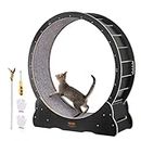 VEVOR Cat Wheel Exerciser for Indoor Cats, 43.3 inch Large Cat Exercise Running Wheel Treadmill with Ultra Low Noise and Detachable Carpet for Cat's Fitness and Health