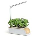 Staright Hydroponics Growing System, Indoor Herb Garden Kit with Grow Light, Smart Garden for Home and Kitchen, Indoor Plant Growing System, Herb Grower Vegetable Gardening System