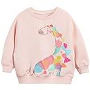 DHASIUE Sweat-shirt licorne mignon à manches longues pour bébé fille - T-shirt décontracté en coton pour enfants de 1, 2, 3, 4, 5, 6, 7 ans, 01# Dinosaure/Rose, 4 ans