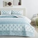 Full Queen Vintage Floral Quilt Coverlet & Pillow Shams | Blue Spring Bedding Sets| 3-Piece Reversible Summer Cottagecore Bedspread | Lightweight Quilt Set (F / Q, Vintage Floral Stripe - Blue)