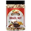 Luxurious - Premium International Exotic Dried Brazil Nuts | 100 Gm | Amazon Treasures Nuts/Brazilian Nut | Healthy & Crunchy Protein Snack | 100 Gm