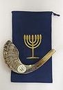 Shofarot Israel 43,2 cm - 45,7 cm Koscher Widder Horn halb poliert Rams Shofar Jericho Typ mit einer kostenlosen Tasche