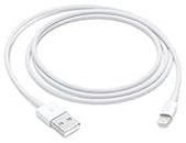 Apple Cable Lightning vers USB (1 m)