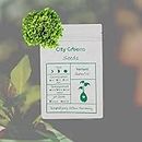 City Greens Batavia Lettuce Seeds (Imported) For Home Garden, Hydroponic Lettuce Seeds - Total 50 Seeds.