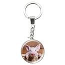 Deluxebase Magnidome Pig Keychain from Dome Shaped Picture Key Ring with Stainless Steel Chain. Crystal Glass Dome Aesthetic Key Chain. Key Chain Accessories for Women and Key Holder for Men