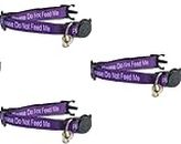 Worded Cat Collars with Bell | Safe Quick Release Breakaway Buckle - PURPLE, I Have A Loving Home - Pack of 3