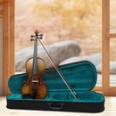 4/4 Violin Set Violin Stringed Musical Instruments for Adults Kids Beginners